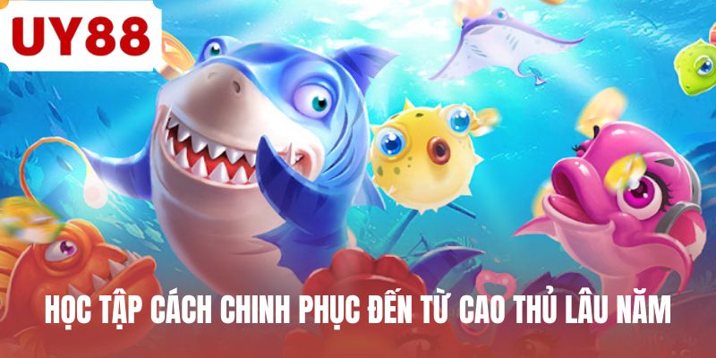 Học tập cách chinh phục đến từ cao thủ lâu năm